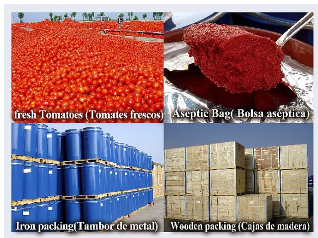 TOMATO PASTE DRUM